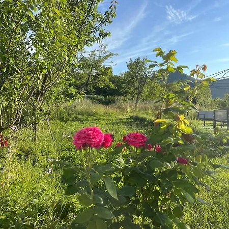Ca Nel Bosco San Benedetto (Liguria)