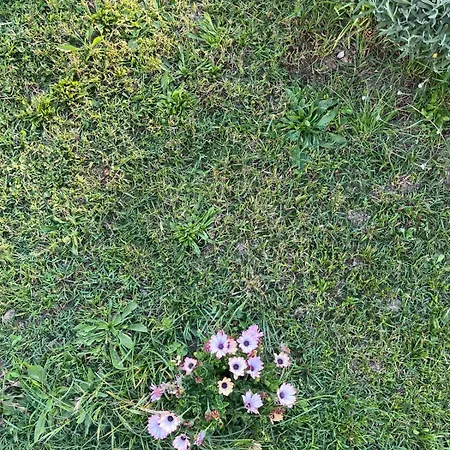 Ca Nel Bosco