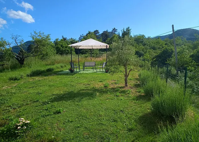 Ca Nel Bosco - Mytouristhome Nyaraló San Benedetto (Liguria)
